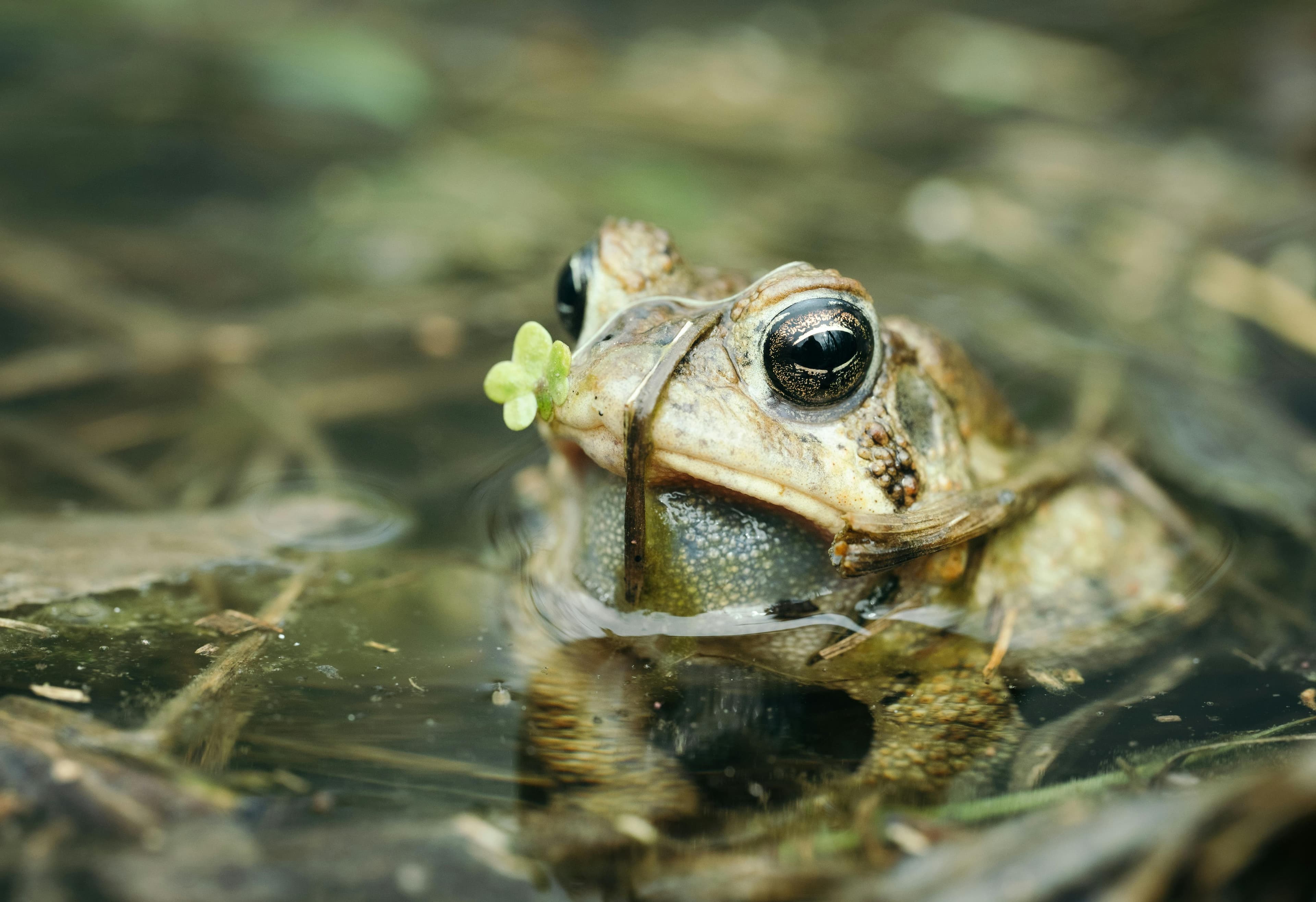 Transform moments into art with expert video and photography.